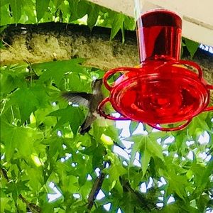 Meet your Posher, Dong